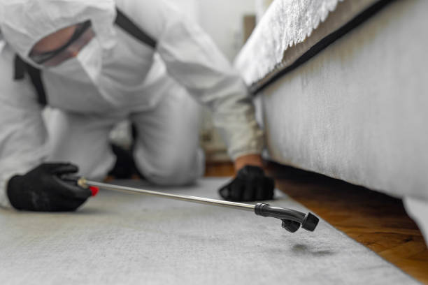 Professional Bed Bug Control technician working in Upper Grand Lagoon, FL